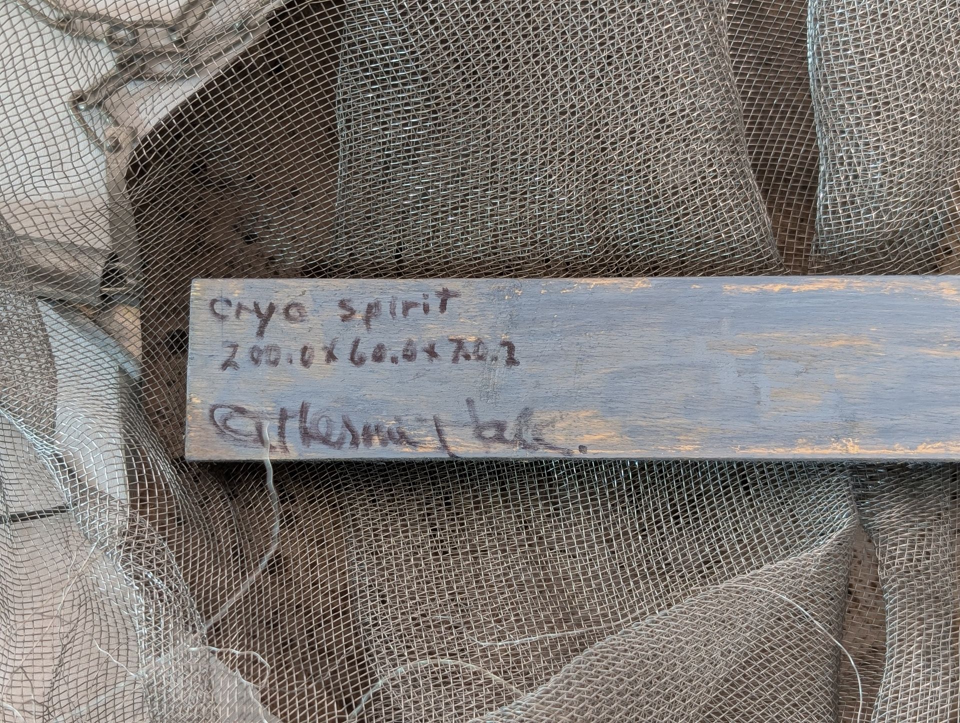 Thumbnail for "Cryo Spirit" Hanging Sculpture