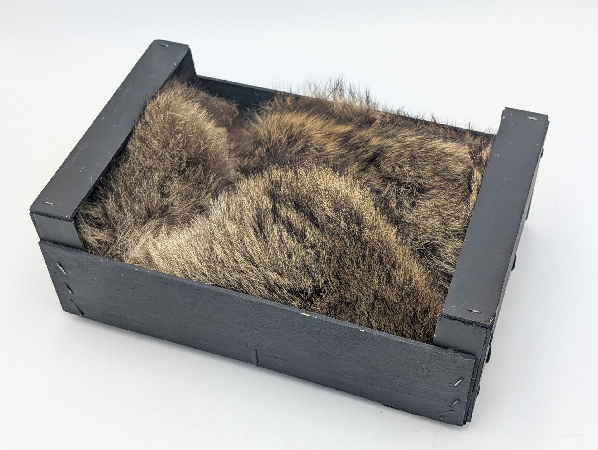 Thumbnail for Boxed Art Sculptures