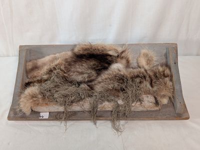 13 Different Sculptures by Catherine Hale